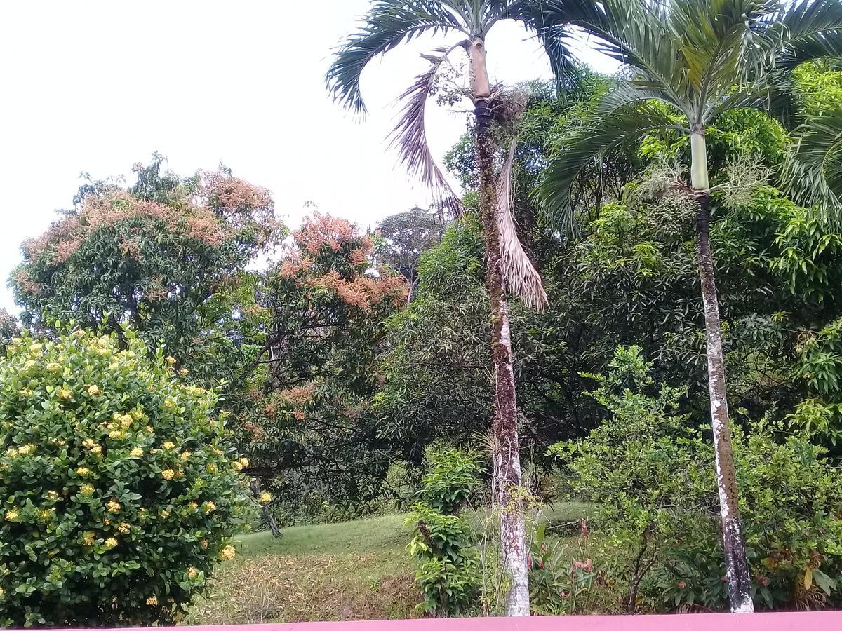 Monique'S Guest House Maraval Экстерьер фото